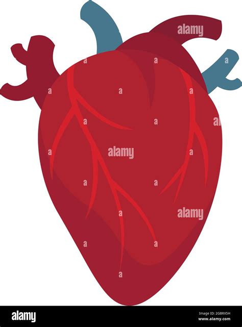 Icono Cardiología Corazón Humano Ilustración Plana Del Icono Del