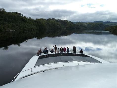 Gordon River Cruises Strahan Tutto Quello Che Cè Da Sapere