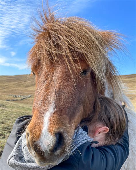 Hugging Minions | My Shetland