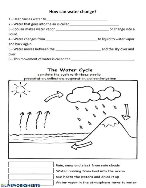 Water Cycle Interactive Activity Live Worksheets Worksheets Library