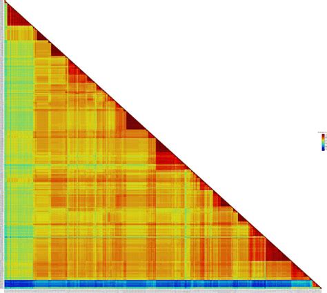 Pairwise Identity Plot Of The Replication Associated Protein Gene Rep