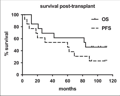 Overall Survival Os And Progression Free Survival Pfs Of 13