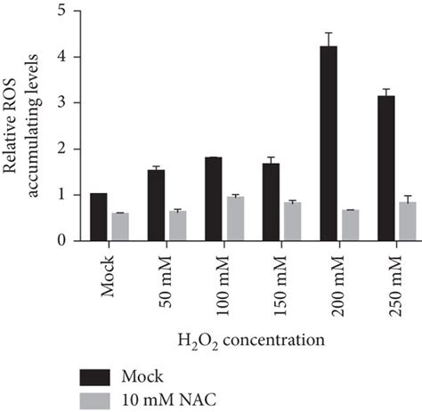 Ros Level Was Induced After H2o2 Treatment A Ros Staining Was Imaged Download Scientific