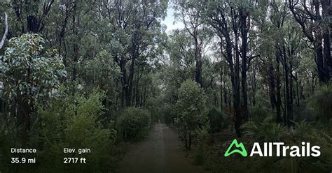 Munda Biddi Trail Jarrahdale Western Australia Australia 25