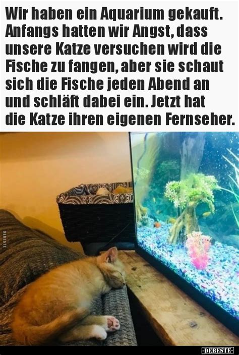 aquarium Witze und Sprüche DEBESTE de