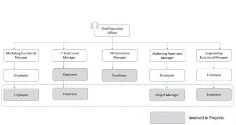 Matrix Organizational Structure: Examples, Advantages, and Disadvantages | PM Study Circle