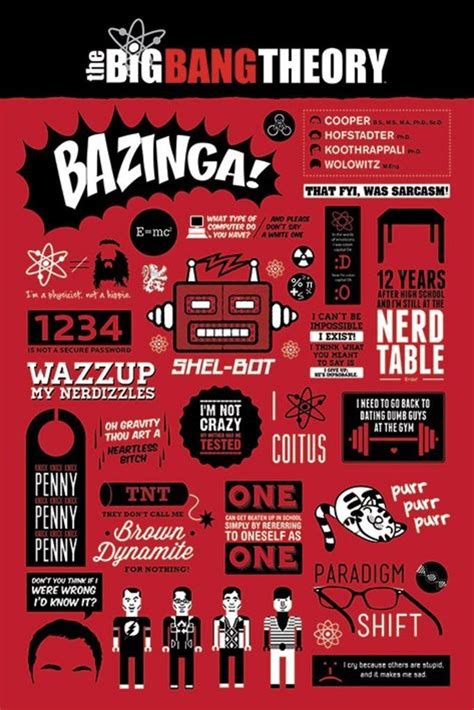 Big Bang Theory Infographic Official Poster E Big Bang Big Bang Theory Y Teoría