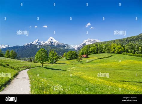 Idyllic Summer Landscape In The Alps Nationalpark Berchtesgadener Land