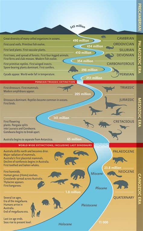 Prehistoric Timeline Prehistoric Timeline Dinosaur History Dinosaur