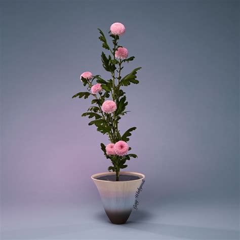 Ikebana Ikenobo Shoka Shofutai In