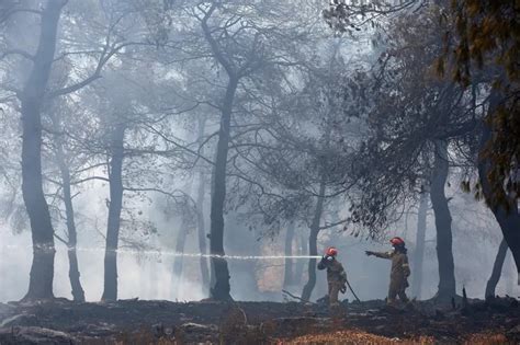 El Hemisferio Norte Registra Un R Cord De Incendios Forestales En La