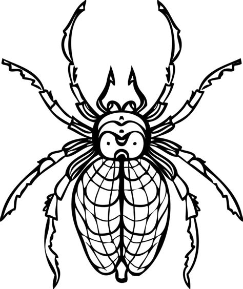 Spider realistic black and white line vector illustrations. Hand ...