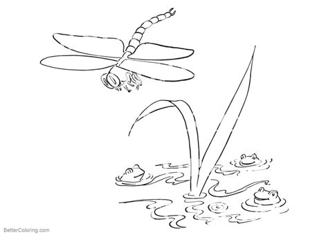 Pond Animal Coloring Pages Free Printable Coloring Pages