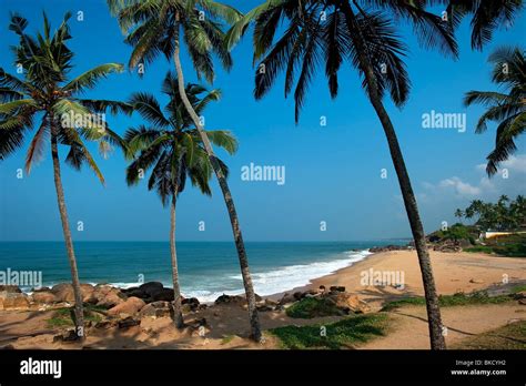 Samudra Beach, Kovalam, Kerala, India Stock Photo - Alamy