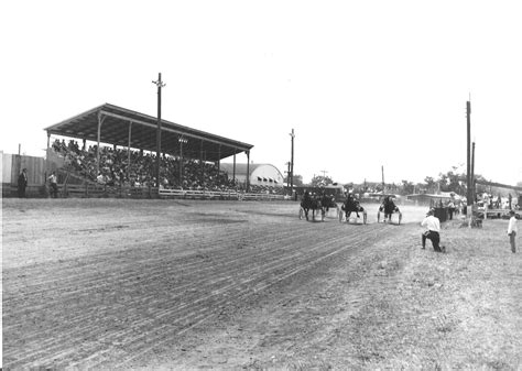 Gallery Mchenry County Fair 2024