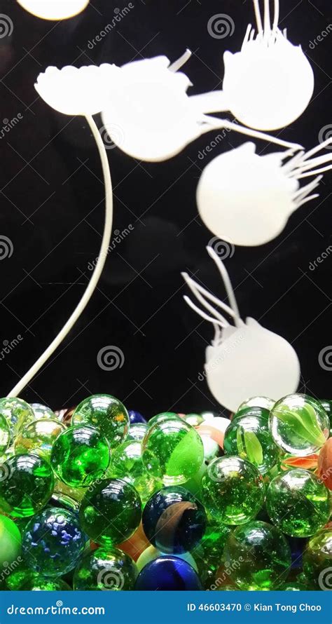 Fake Jellyfish Stock Photo Image Of Like Aquarium Looks 46603470