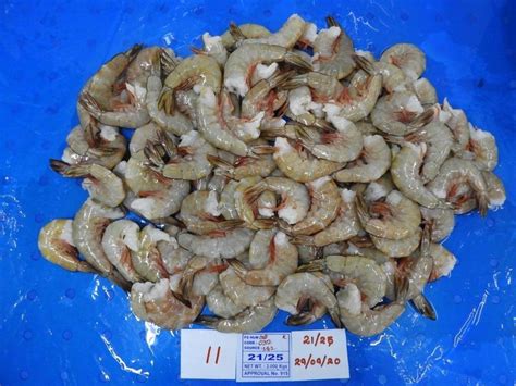 Raw Frozen Headless White G Prawns Shrimps Block At Best Price In