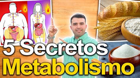 5 Pasos Para Metabolismo Perfecto Acelera El Metabolismo Cura Cualquier Enfermedad Y Baja De