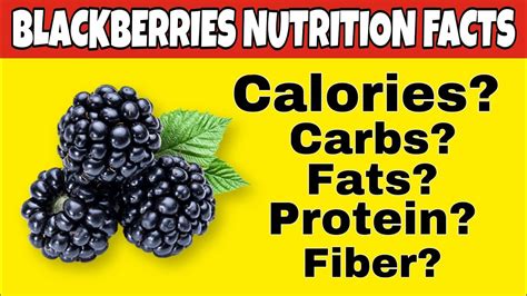 Nutrition Facts Of Blackberries Health Benefits Of Blackberries