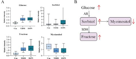 Details For Sorbitol Metabolism Pathway A The Relative Content Download Scientific Diagram