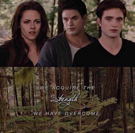 Pin By Jammyjaya On Twilight Twilight New Moon Twilight Memes