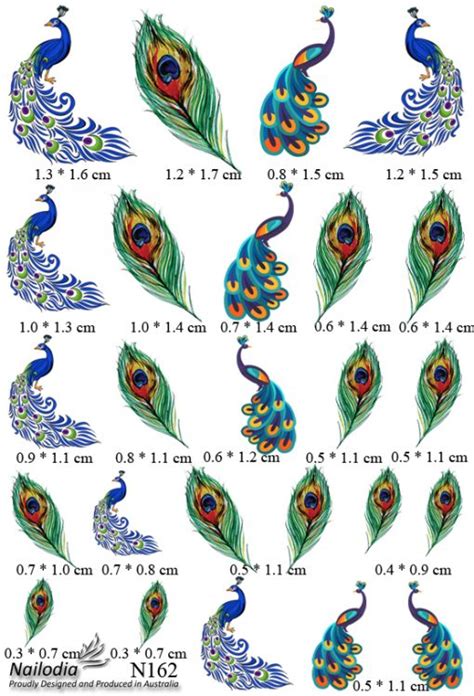 Peacock Feather Nail Art Decal Sticker Nailodia