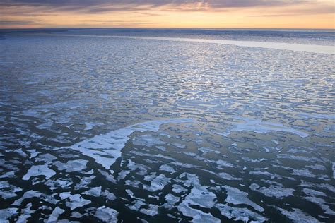 See The Arctic National Wildlife Refuge In Spring Audubon Alaska