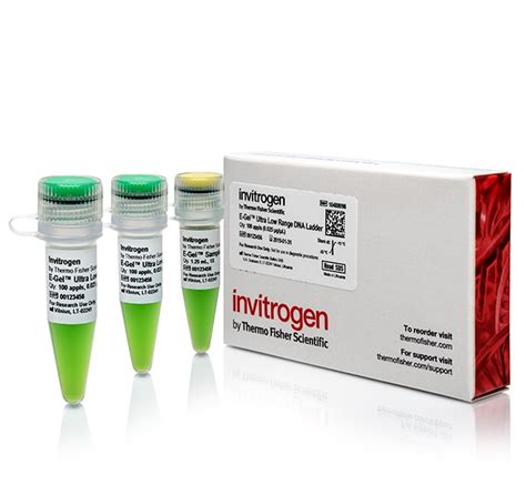 Invitrogen E Gel Ultra Low Range DNA Ladder Ready To Use DNA Ladder