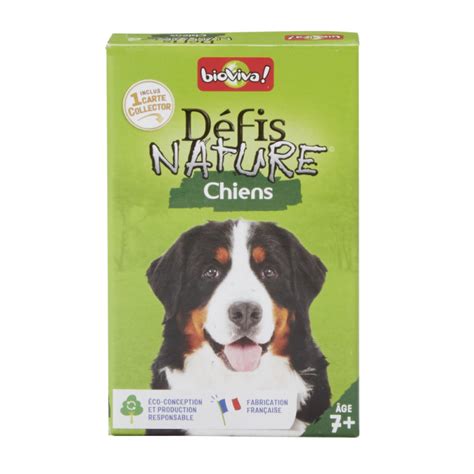 Jeu D Fis Nature Chiens