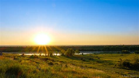 Meadow of Gold – Monte Stevens Photography Blog