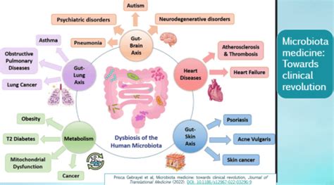 Gut Microbiota & Diabetes/Metabolic Health - What Physicians Must Know ...