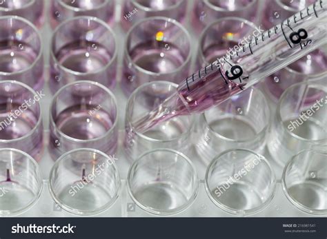 70 24 Well Plate Görseli Stok Fotoğraflar Ve Vektörler Shutterstock