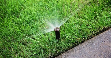 Watering Grass In Hot Weather Sodscapes Texas