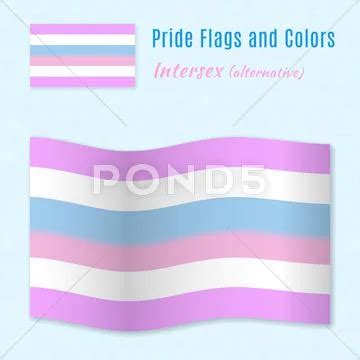 Intersex Pride Flag With Correct Color Scheme Illustration 55789792