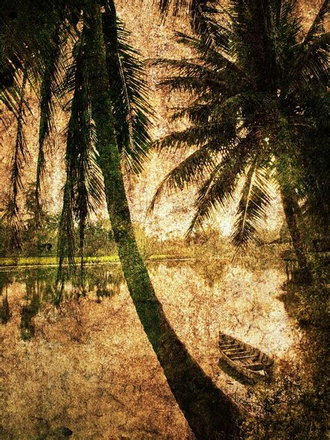 A Fishing Boat On The River In Vietnam Photograph by Skip Nall - Fine Art America