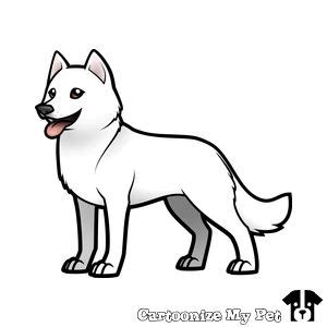 Husky x Akbash by CrossBreedFarms1 on DeviantArt