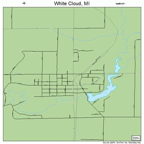 White Cloud Michigan Street Map 2686680