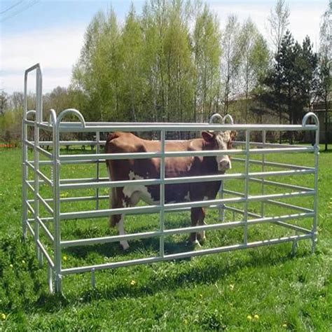 Removable Fence Panels Heavy Duty Galvanized Metal Round Pen Cattle