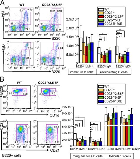 CD22 Ligand Binding And Signaling Domains Reciprocally Regulate B Cell