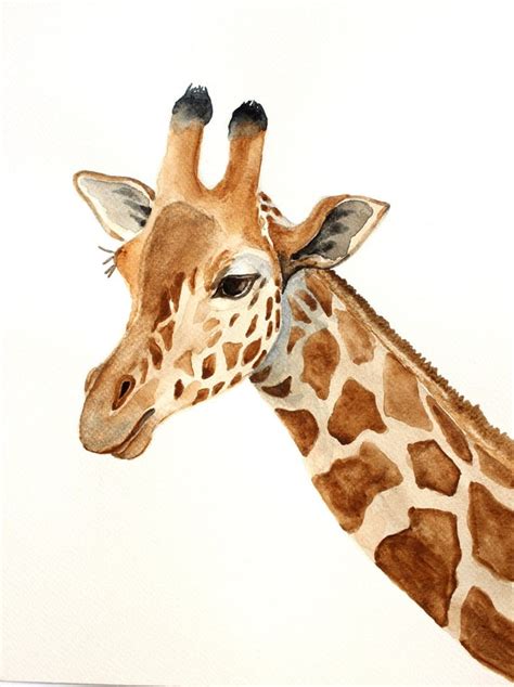 Giraffe Original Watercolor Painting Giraffe By Paintingbyzofial