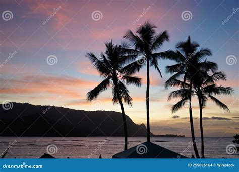 Silhouette of Palm Trees at the Coast of an Ocean at Sunset in Hawaii ...