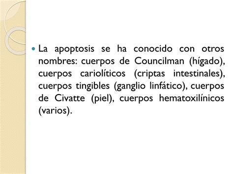 APOPTOSIS Y NEOPLASIAS Ppt Descargar