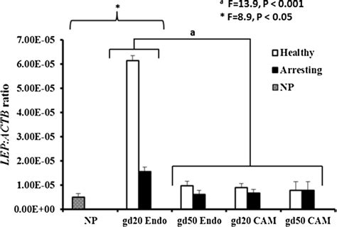 Leptin Lep Mrna Expression Level Comparison Between Gestational Days