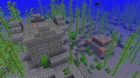 Minecraft Ocean Ruins: Location, loot and more!