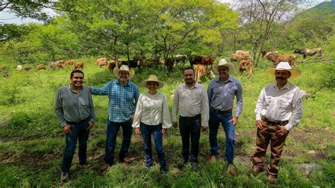 Jalisco Es Pionero En La Ganader A Silvopastoril En Todo M Xico