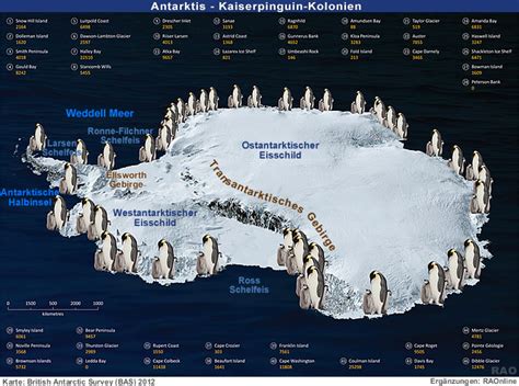 Raonline Edu Antarktis Pinguinz Hlung Mit Satellitenbildern