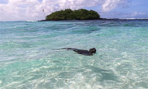 Más calor inundaciones y ciclones en América Latina y el Caribe el sombrío pronóstico de la ONU