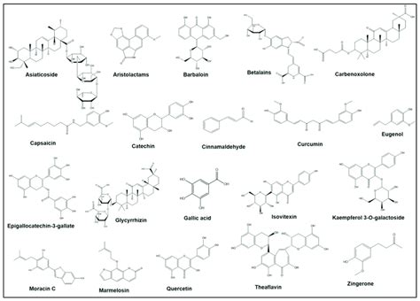 Chemical Structures Of Different Bioactive Compounds Derived From The