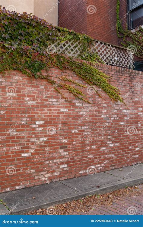 Lange Gevarieerde Baksteenwand Voorzien Van Een Ijzel En Een Rooster