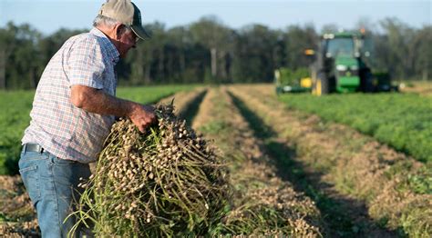 The Us Farm Labor Shortage Infographic Agamerica